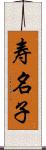 寿名子 Scroll