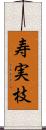 寿実枝 Scroll