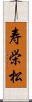 寿栄松 Scroll