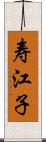 寿江子 Scroll