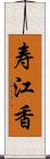 寿江香 Scroll