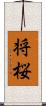 将桜 Scroll