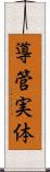 導管実体 Scroll