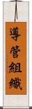 導管組織 Scroll