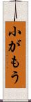 小がもう Scroll