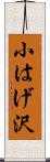 小はげ沢 Scroll