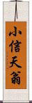 小信天翁 Scroll