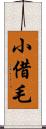 小借毛 Scroll