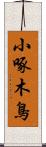 小啄木鳥 Scroll