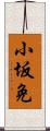 小坂免 Scroll