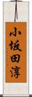 小坂田淳 Scroll