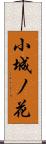 小城ノ花 Scroll