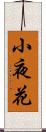 小夜花 Scroll