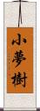 小夢樹 Scroll