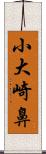 小大崎鼻 Scroll