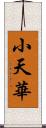 小天華 Scroll