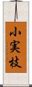 小実枝 Scroll