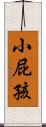 小屁孩 Scroll