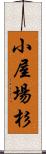 小屋場杉 Scroll