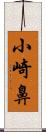 小崎鼻 Scroll