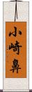 小崎鼻 Scroll