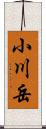 小川岳 Scroll