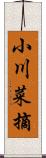 小川菜摘 Scroll