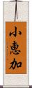 小恵加 Scroll