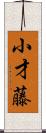 小才藤 Scroll