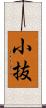 小抜 Scroll