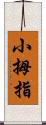 小拇指 Scroll