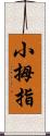 小拇指 Scroll