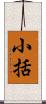 小括 Scroll