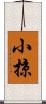 小掠 Scroll