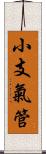 小支氣管 Scroll