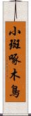 小斑啄木鳥 Scroll