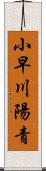 小早川陽青 Scroll