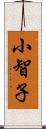 小智子 Scroll