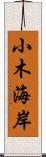 小木海岸 Scroll