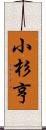 小杉亨 Scroll