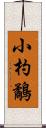 小杓鷸 Scroll