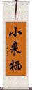 小来栖 Scroll