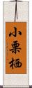 小栗栖 Scroll