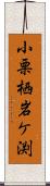 小栗栖岩ケ渕 Scroll