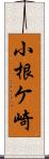 小根ケ崎 Scroll