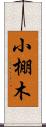小棚木 Scroll