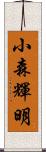 小森輝明 Scroll