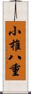 小椎八重 Scroll