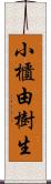 小櫃由樹生 Scroll