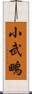 小武鴫 Scroll